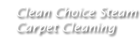 Clean Choice Steam Carpet Cleaning